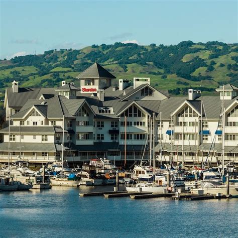 petaluma hotel reviews|sheraton hotel petaluma ca.